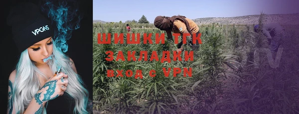 гашик Гусиноозёрск