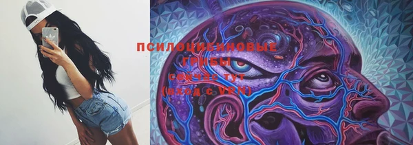 мяу мяу мука Гусев