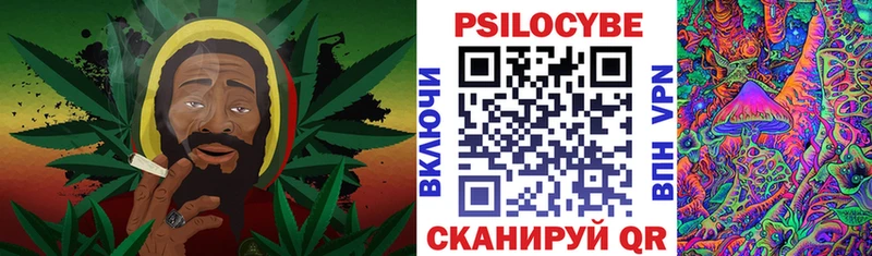 Купить закладки  Очёр  Псилоцибиновые грибы Psilocybe 