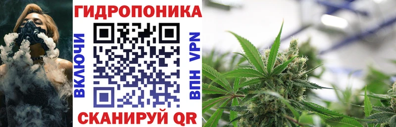 Купить закладки  Очёр  Шишки марихуана SATIVA & INDICA 